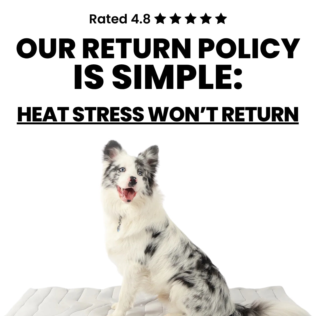 FrostPaw Cooling Mat