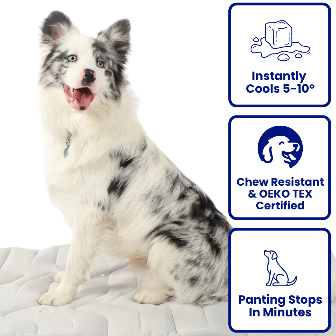 FrostPaw Cooling Mat