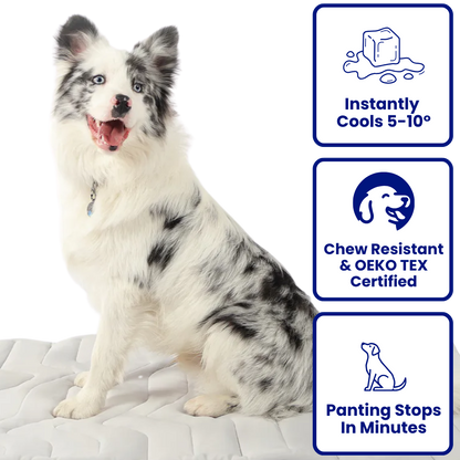 FrostPaw Cooling Mat