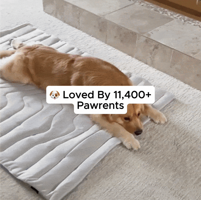 FrostPaw Cooling Mat