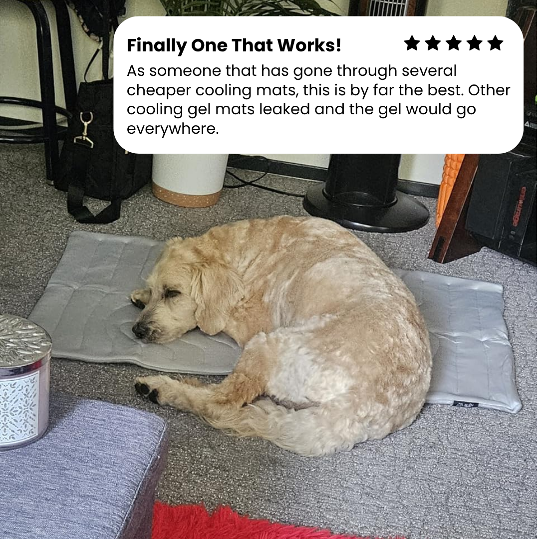 FrostPaw Cooling Mat