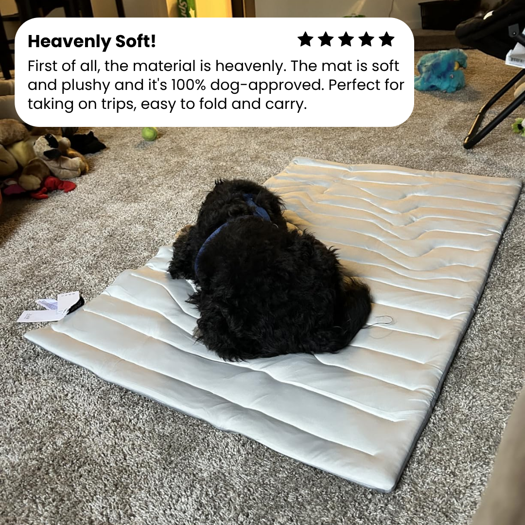 FrostPaw Cooling Mat